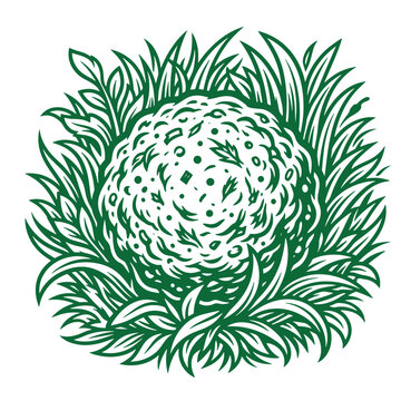 Engraved vector graphic of a raw meatball or savory snack surrounded by wild green grass with meatball, culinary