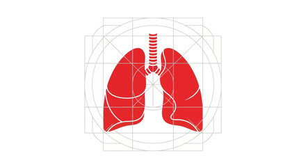 Obraz premium Medical Illustration Of A Human Respiratory System In A Minimal Red And White Design