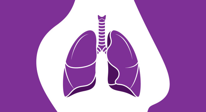 Medical Illustration Of A Human Lung Showing The Respiratory System With Purple Aesthetic