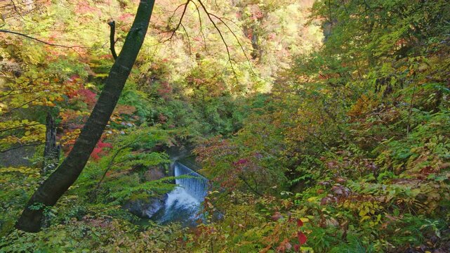 紅葉の名所 秋の鳴子峡の風景　Autumn scenery of Naruko Gorge, a famous spot for autumn foliage.