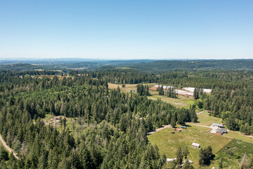 Obraz premium Aerial view of lush green forests of Oregon with blue sky on a sunny day.