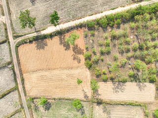Obraz premium Sustainable mixed farming landscape with crop fields in rural countryside supporting climate resilience and food security. Climate adaptive land management practice. Regenerative agricultural farmland