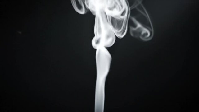 Graceful wispy white smoke rising against a dark black backdrop, elegant abstract patterns