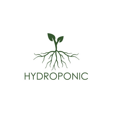 Hydroponic Logo Vector Natural Simple