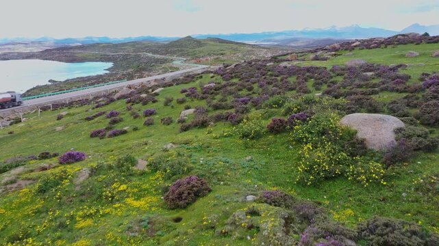 Aerial view of colorful wild flowers covering open plateau hillside in Daocheng Yading China