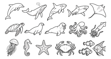 Sea animal line art collection, 15 ocean creature icons, black and white marine life vector set © usmi