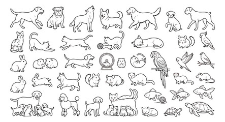 Fototapeta premium Minimalist pet line art icons, hand drawn animal vector set, simple black outline pet illustrations
