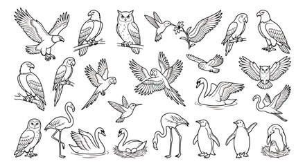 Obraz premium Minimalist bird line art collection, 24 wild bird vector icons, black and white animal sketches