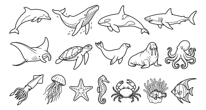 Hand drawn sea animals vector set, marine life line art icons, aquatic creature coloring page