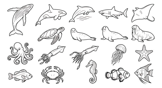Hand drawn sea animals collection, 20 ocean life vector icons, black and white marine life set
