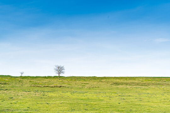 Pasture on Titelski Breg in Vojvodina, Serbia, with grassy hillside, sparse trees, open sky and quiet rural landscape across the Serbian countryside and natural plain.