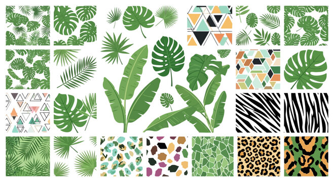 Tropical Leaves, Abstract Patterns, and Animal Prints Collection