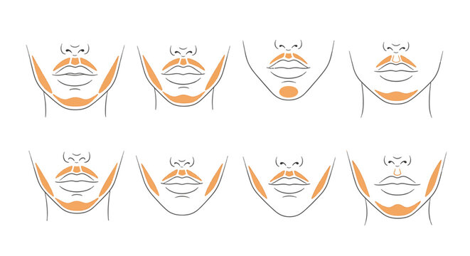 Female jaw shape variations diagram for aesthetic medicine showing chin contouring zones, facial morphology line art, and lower face anatomical highlights for filler injection.
