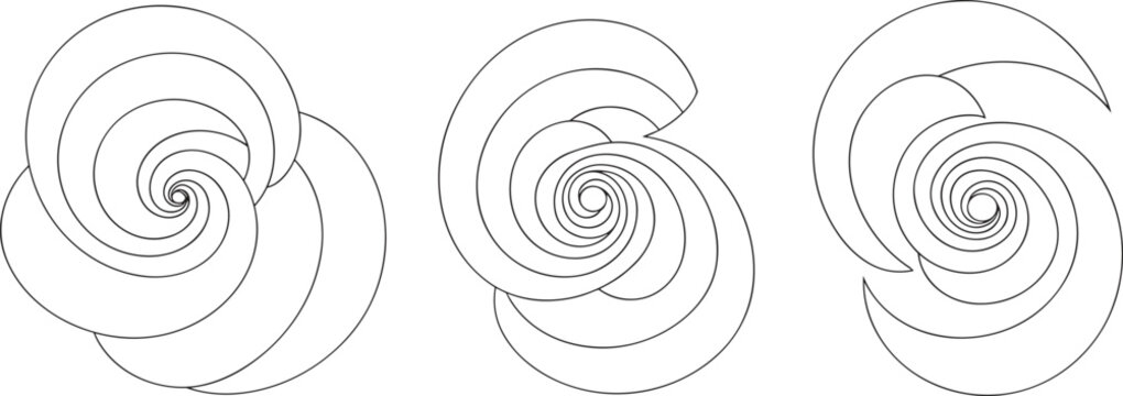 Spiral rose elements, geometric line swirls, abstract floral shapes, hypnotic whirlpool icons, nautilus shell patterns, circular vortex designs, decorative whorl flourishes,