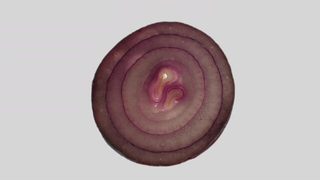 60p close up shot of a central onion slice rotating on a white background