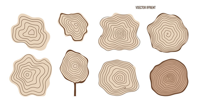 Tree Ring Cross Sections Set - Wood Grain Pattern