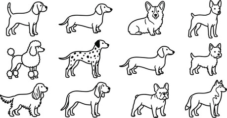 Dog Breed Silhouette Line Art Outlines Vector Icon Set Featuring Beagle Corgi Poodle Dalmatian Dachshund French Bulldog and Husky for Creative Veterinary Pet Shop Graphic Designs © rumi