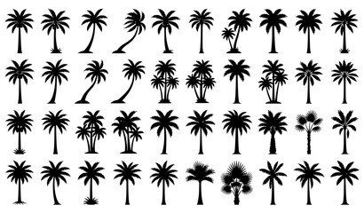 Beach Palm Tree Silhouette Collection with Tropical Island and Vacation Vector Graphics © Abu