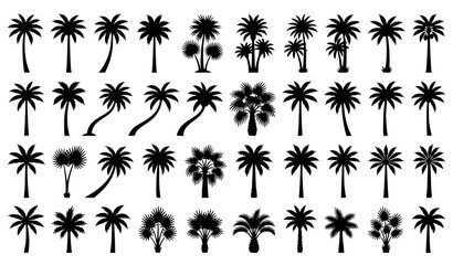Coconut Palm Tree Silhouette Vector Pack for Tropical Beach Paradise and Resort Design © Abu