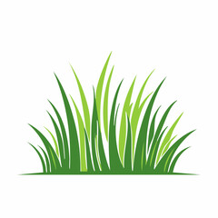Fototapeta premium Green Grass Illustration