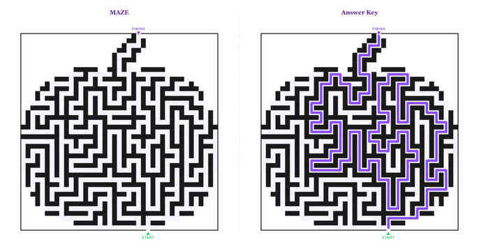 Pumpkin maze puzzle with solution paths highlighted in purple  