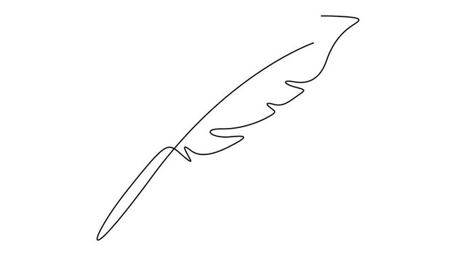 Feather continuous line drawing animation for literature, blogging, and vintage writing concepts. Minimalist quill feather self-drawing animation in clean single line art style.