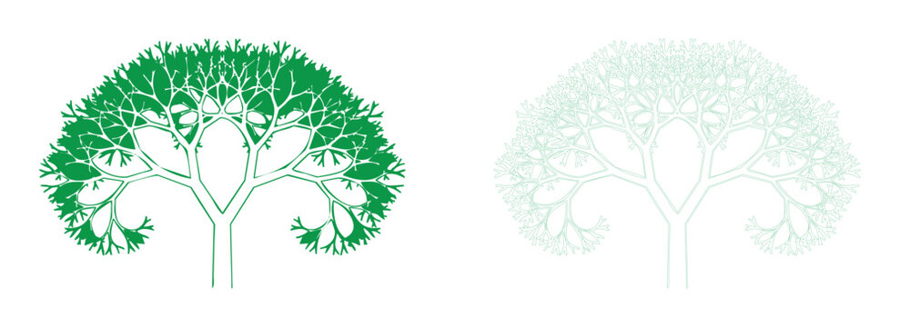 Detailed wide green weeping willow dome tree outline vector graphic illustration set for natural park scenery