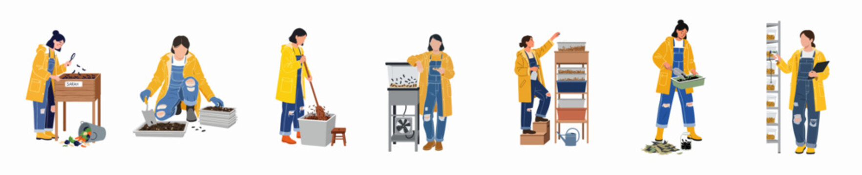 Flat vector illustration set of a woman working on an industrial insect farm, managing black soldier fly larvae for sustainable waste composting.