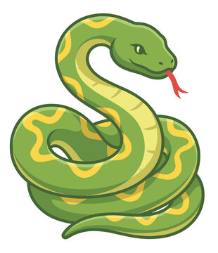 Cute green snake drawing with red tongue, coiled wild tropical reptile vector illustration isolated on white background.