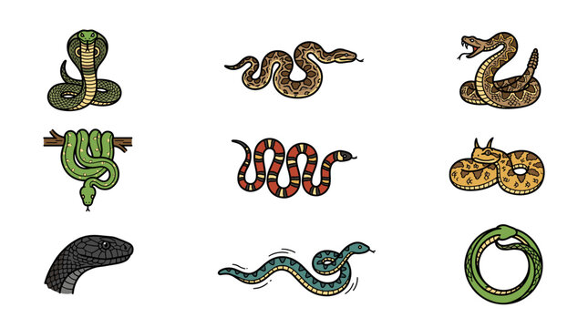 Set of colorful snake drawing icons, various wild reptile vector illustration collection including cobra and coral snake.