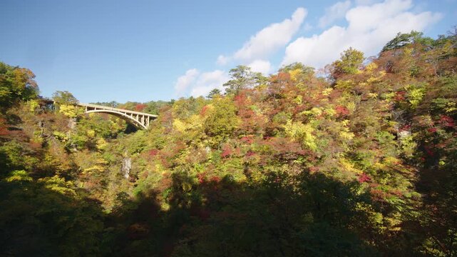 紅葉の名所 秋の鳴子峡の風景　Autumn scenery of Naruko Gorge, a famous spot for autumn foliage.