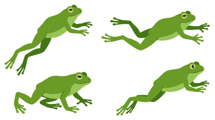 Fototapeta premium Minimalist flat green frog vector drawing collection, simple amphibian animal leaping jumping and sitting isolated on white.