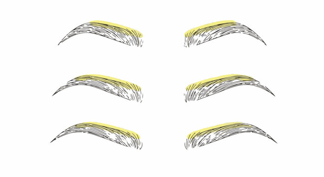 Vector set of female eyebrow shape variations with hand-drawn hair stroke patterns. Sketch illustration featuring different arches and yellow highlights for beauty and makeup design.
