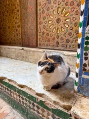 Historic Site - Fez, Morocco © demerzel21