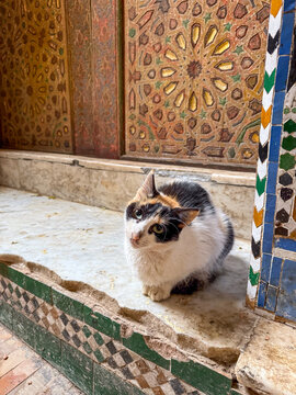 Historic Site - Fez, Morocco
