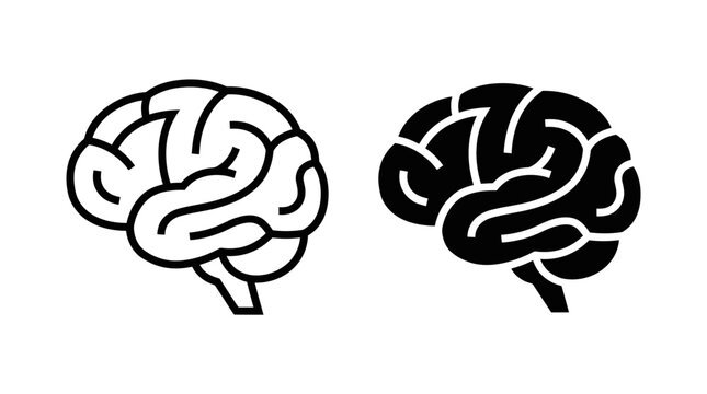 Brain Illustrations Comparison
