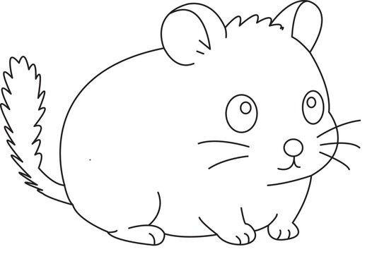 coloring page coloring book animal chinchilla 
