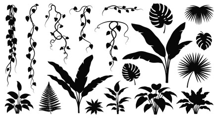 Collection of Tropical Jungle Plant Silhouettes and Vines. © Ndog