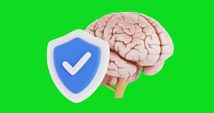 4k Resolution Video: Brain Security Concept. Human Brain With Blue Shield And Check Mark Animated On White Background With Alpha Matte