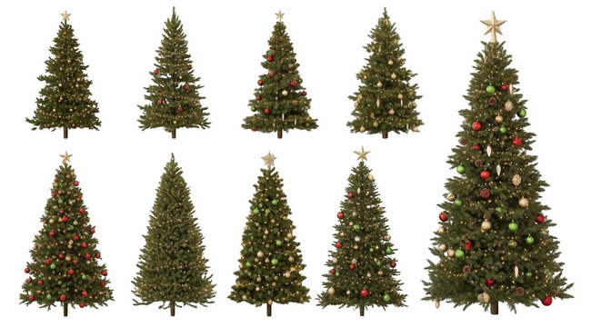 Collection of nine decorated christmas trees with colorful baubles, lights, and golden star toppers isolated on a black background