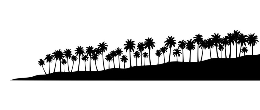 Palm tree silhouette row on tropical beach horizon