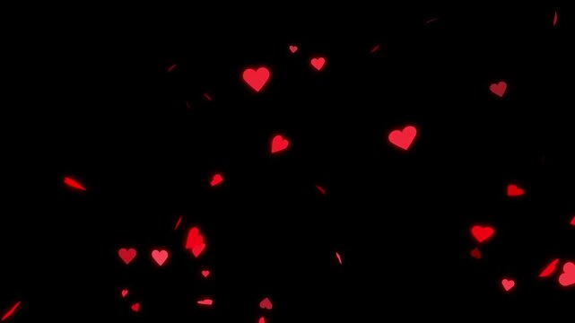 Romantic red heart flying 4k video. Alpha channel, transparent background. Heart falling alpha elements with heart particle filling looped for overlay on your footage.
Red hearts fall from top.