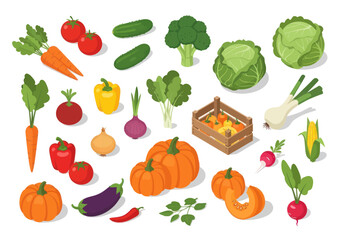 Fototapeta premium Assortment of Fresh Vegetables and Produce Collection.