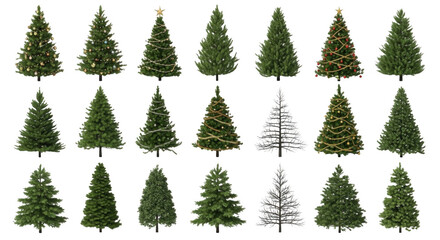 Obraz premium Collection of various christmas tree with ornaments, garlands, and snow-covered branches isolated on a black background