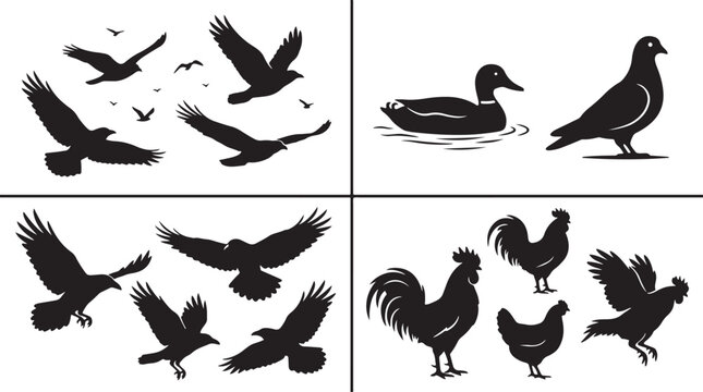 Captivating collection of bird silhouettes featuring eagles ducks pigeons roosters and hens in various natural poses