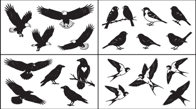 Comprehensive collection of bird silhouettes including powerful eagles dark ravens delicate sparrows and swift swallows flying