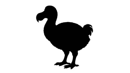 Black silhouette of a dodo bird standing © Md
