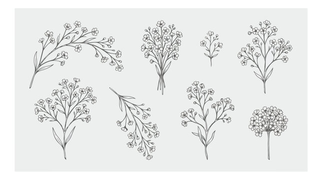 Hand drawn baby's breath floral vector set, delicate gypsophila flower line art collection, minimalist botanical sketches for wedding invitations