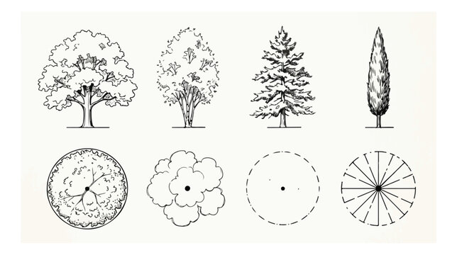 Vintage architectural tree symbols set, hand drawn landscape design elements in elevation and plan view, 8 vector sketches for site mapping