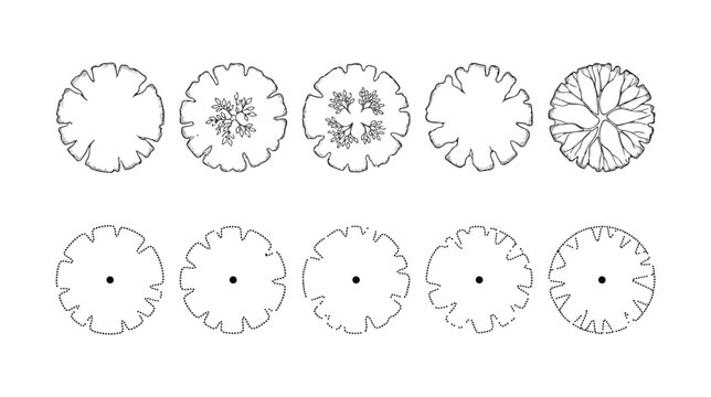 Architectural tree symbols for landscape design, set of 10 top view plant icons, black and white vector vegetation for site plans and garden layouts